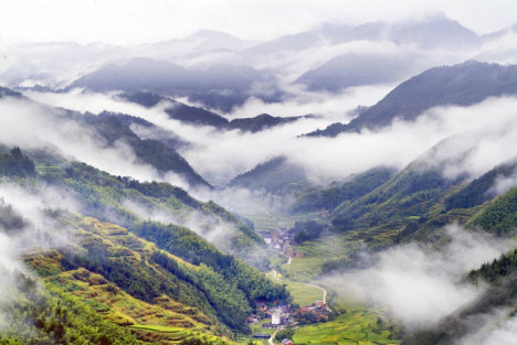 枯水期长江宜昌段现鱼翔浅底景观